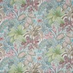 Canopy Seashell (pts114)